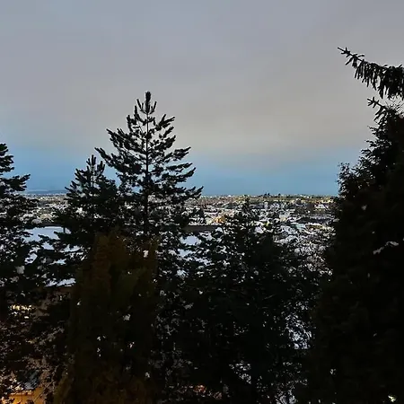 Luxury With View Апартаменты