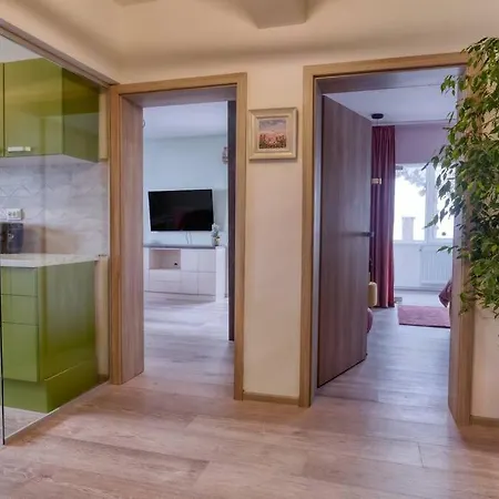 Luxury With View Διαμέρισμα Μπρασόβ