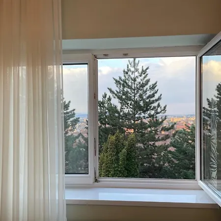 Luxury With View