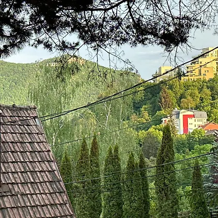 Luxury With View Apartment Brașov