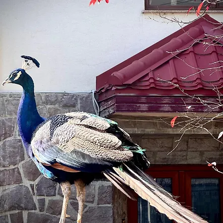 Luxury With View Διαμέρισμα Μπρασόβ