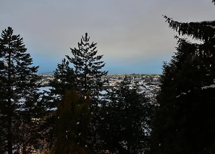 Luxury With View Apartment