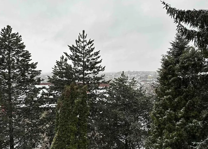 Luxury With View Apartment